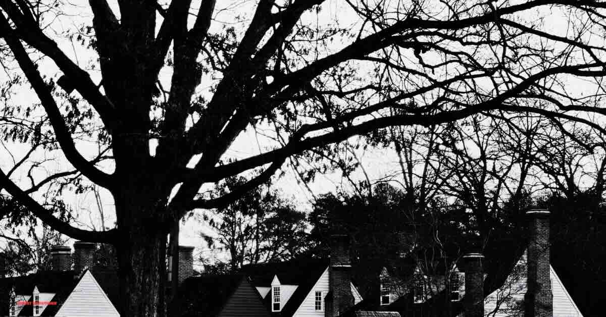 "Lantern-lit street in Colonial Williamsburg during a ghost tour Williamsburg, with a costumed guide sharing eerie stories near a spooky, gnarled tree."