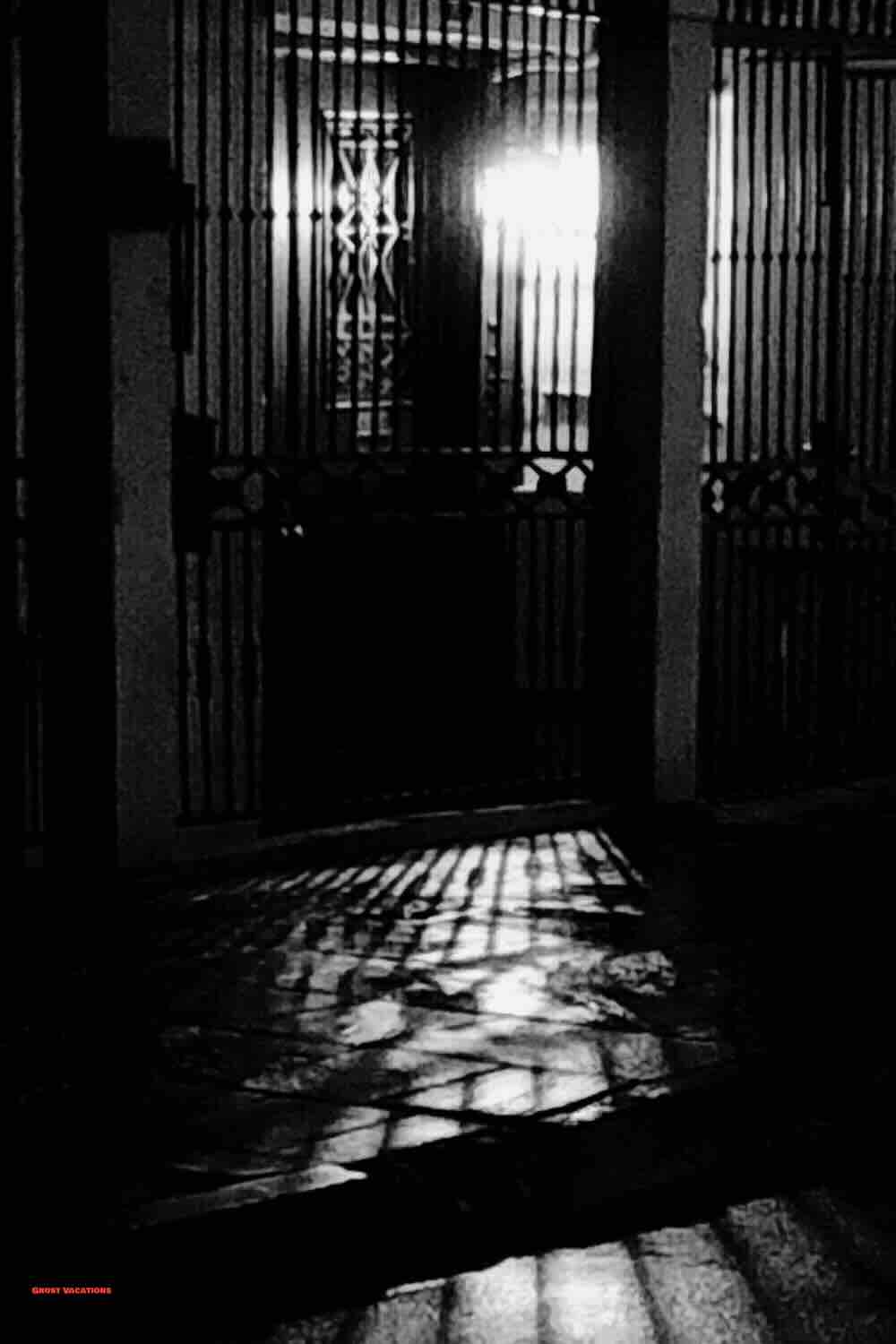 french quarter ghost and vampire tour pinterest image