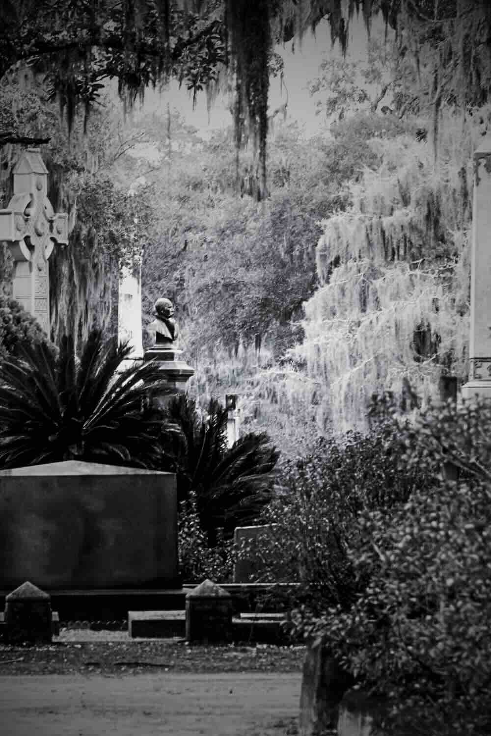 Historic cemetery in Savannah, GA, with fog and one of the haunted hotels in Savannah GA visible in the distance.